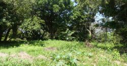 Vacant Land in Elaleni Coastal Estate