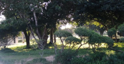 Muirfield Drive Mzingazi Golf Estate