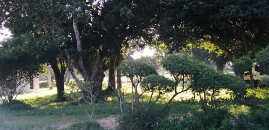 Muirfield Drive Mzingazi Golf Estate