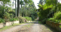 Shakaskraal Farm