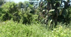 1038sqm vacant land in Brettenwood Estate