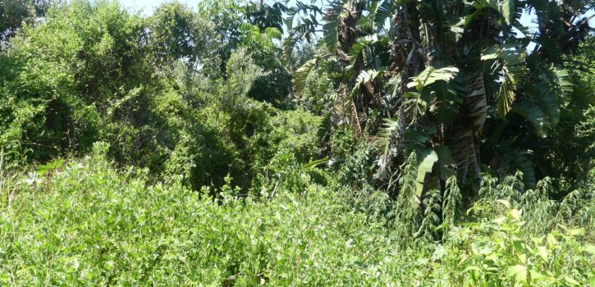 1038sqm vacant land in Brettenwood Estate