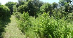 1038sqm vacant land in Brettenwood Estate