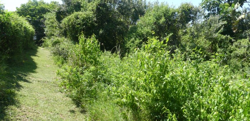 1038sqm vacant land in Brettenwood Estate
