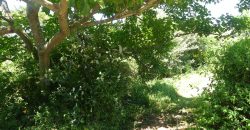 1038sqm vacant land in Brettenwood Estate