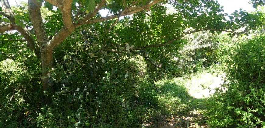 1038sqm vacant land in Brettenwood Estate